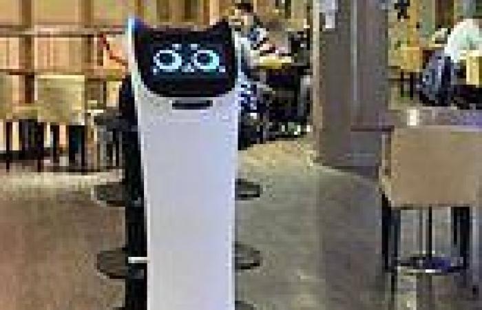 Chinese restaurant chain is forced to use ROBOT waiters during the Covid ...