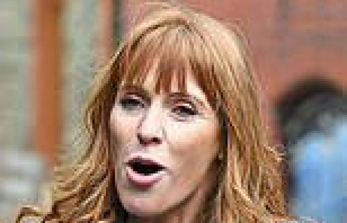 IRAM RAMZAN: Angela Rayner, I am also a gobby Northern lass. That's no excuse ...