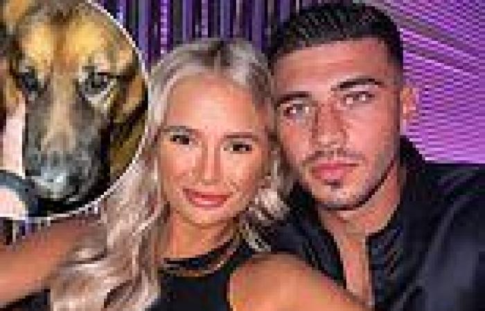 Molly-Mae Hague and Tommy Fury buy a protection dog after £800k burglary