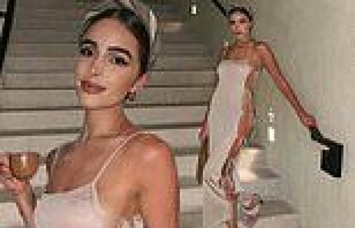Olivia Culpo shows off her impeccable form while sporting a revealing ...