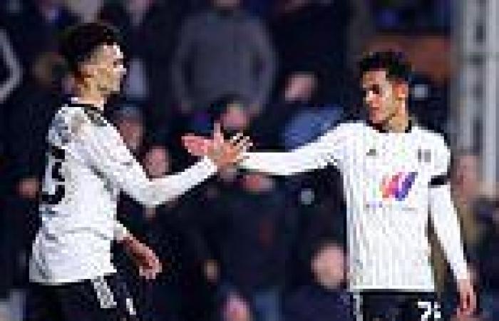 sport news Fulham 6 Birmingham 2: Leaders' relentless run continues as they tot up 19 ...