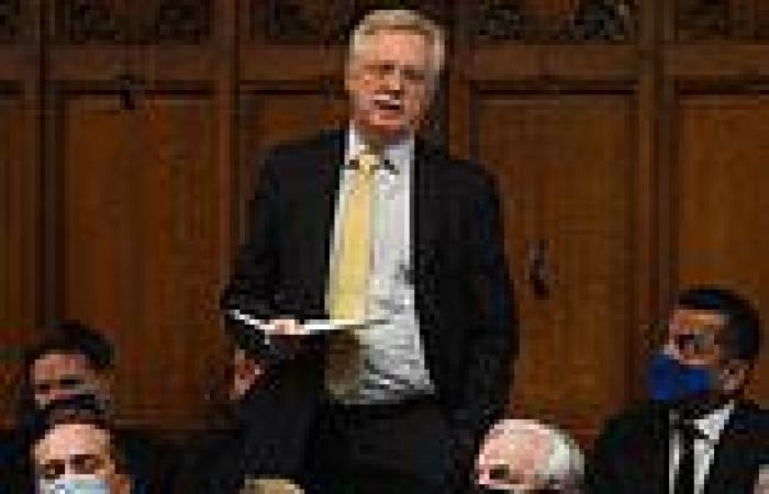 David Davis warns Tories can expect 'year of agony' if party doesn't swiftly ...