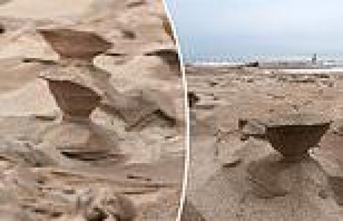 Bizarre 'sand hoodoos' appear on beach of Lake Michigan, created by howling ...