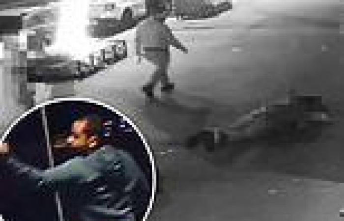 NYPD cops hunt thug who shoved 81-year-old man walking his dog to the ground in ...