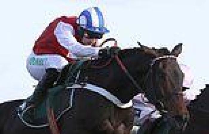 sport news Robin Goodfellow's Racing Tips: Best bets for Friday, January 21