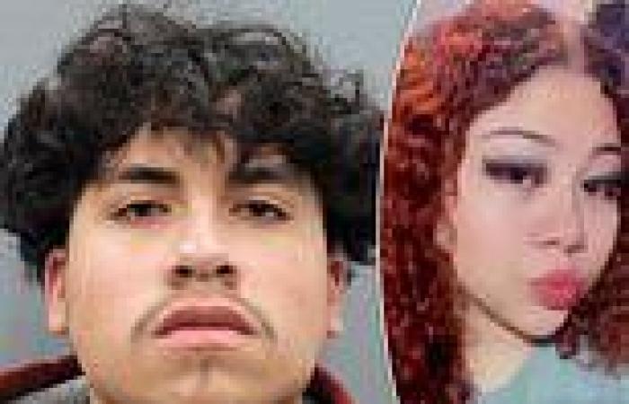Teenage boy arrested for shooting his on-off girlfriend TWENTY TWO times is ...