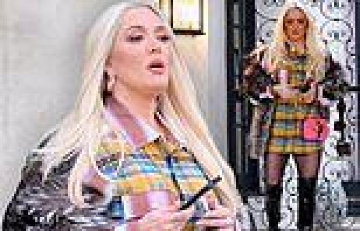 Erika Jayne, 50, shows off her toned legs in a short plaid shirtdress and ...