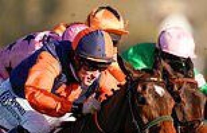 sport news The hunt for a Cheltenham Gold Cup sponsor is OVER