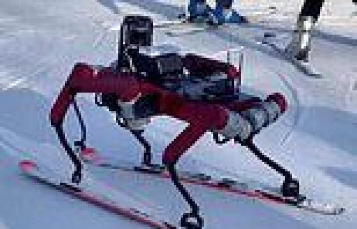 Tech: Six-legged robot expertly SKIS down a slope in China in unbelievable ...