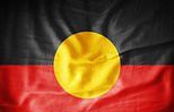 Aboriginal flag now belongs to ALL Australians after copyright is transferred