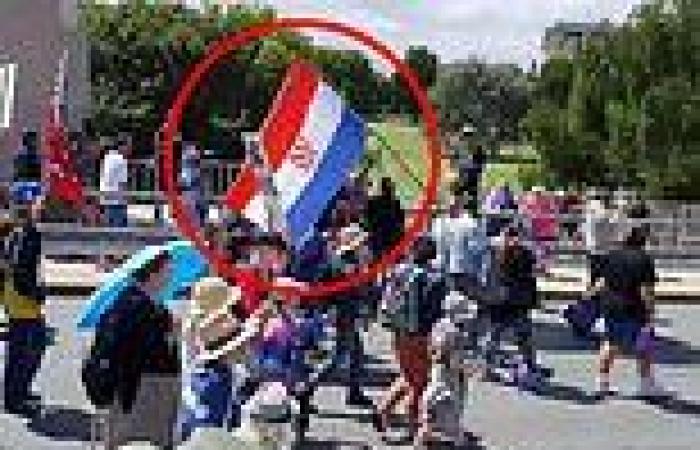 How secret Nazi symbols are being used in Canberra's anti-vax protests