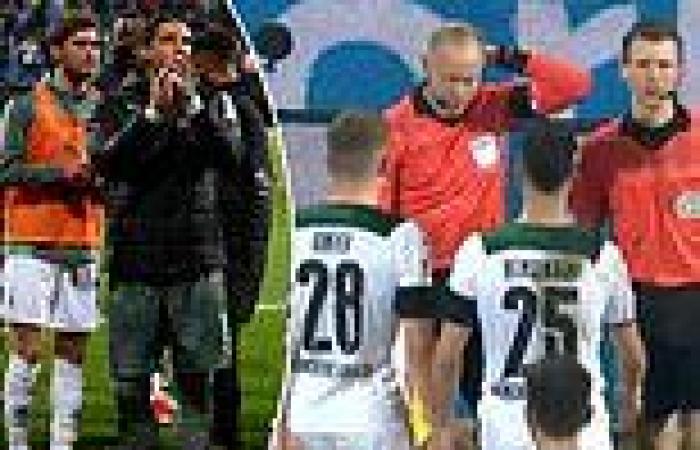 sport news Bundesliga clash ABANDONED after a linesman is struck in the back of the head ...