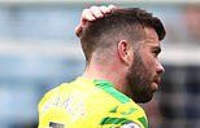 sport news Norwich remain toothless in the Premier League after suffering another ...