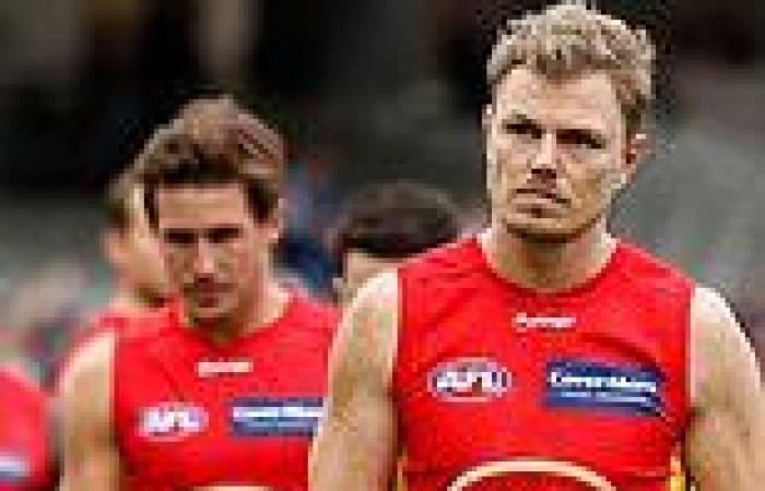 sport news Cameron Ling's message for Suns players: 'Start winning or end your career as ...