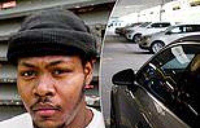 Man recalls being pulled over by cops at gunpoint when Hertz wrongly reported ...