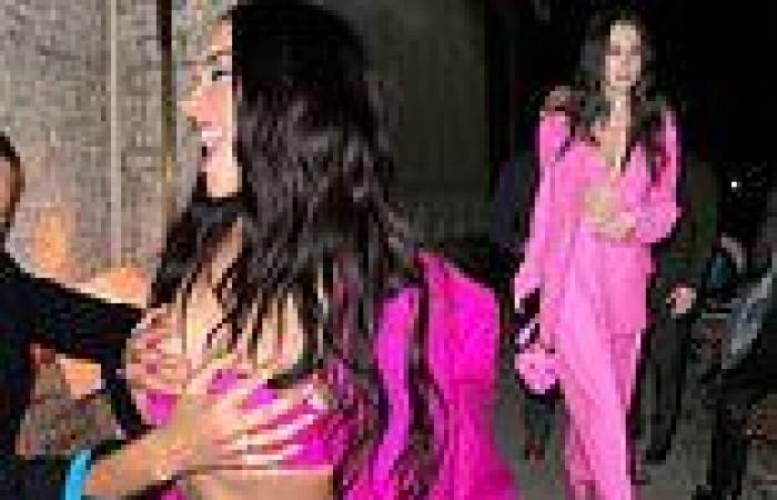 Dua Lipa wows in pink bra and suit as she parties with her family after London ...