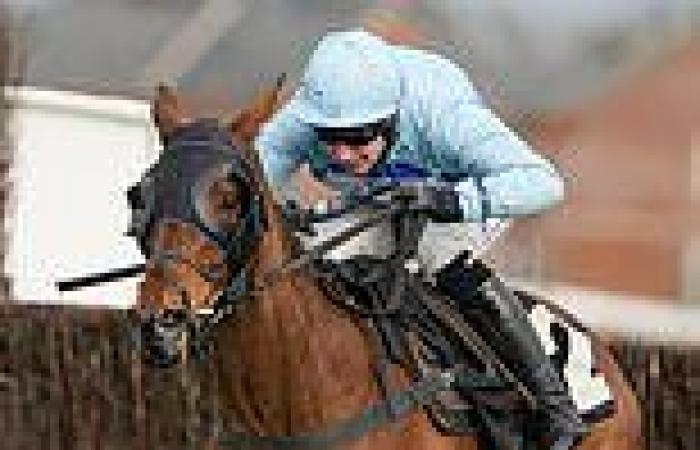 sport news Robin Goodfellow's racing tips: Best bets for Friday, May 6
