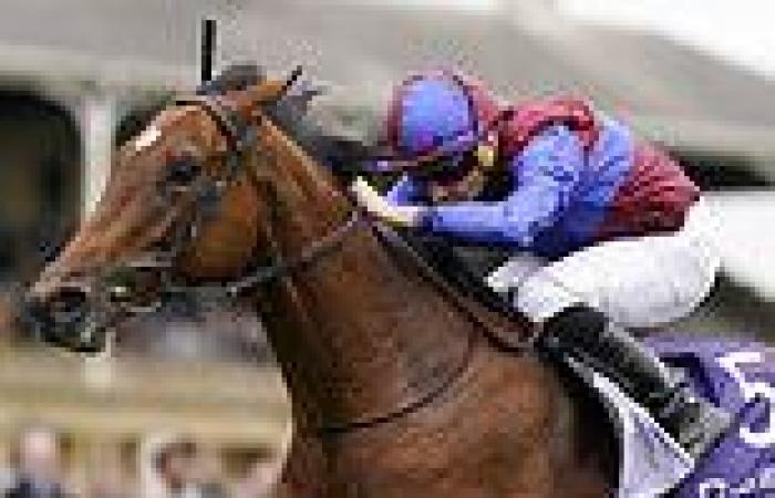 sport news Derby favourite Luxembourg is a doubt for £1.5m Epsom race next month after ...