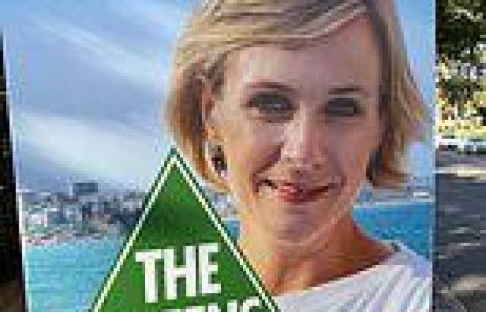 Federal election 2022: Hume Independent Penny Ackery slams fake Greens election ...