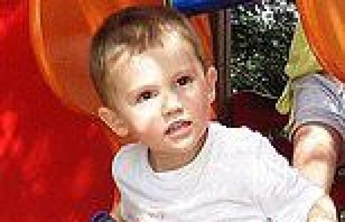 Explosive new details about William Tyrrell's foster parents lift lid on ...