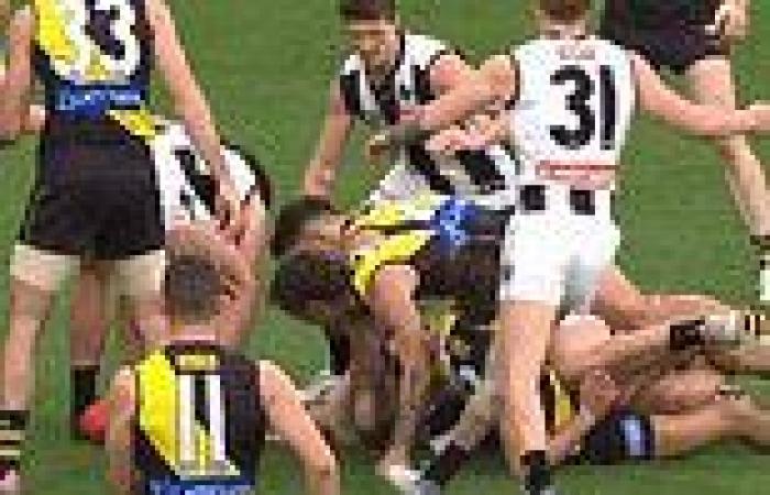 sport news Richmond halfback Rhyan Mansell cops one-game ban for hitting Jack Ginnivan ... trends now