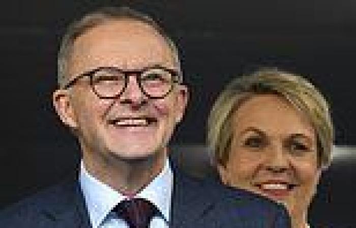 Monday 9 May 2022 02:26 AM Tanya Plibersek finally appears by Labor leader Anthony Albanese's side trends now