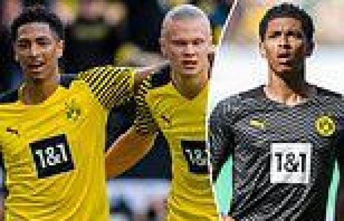 sport news Jude Bellingham confirms he will stay at Borussia Dortmund and admits he will ... trends now
