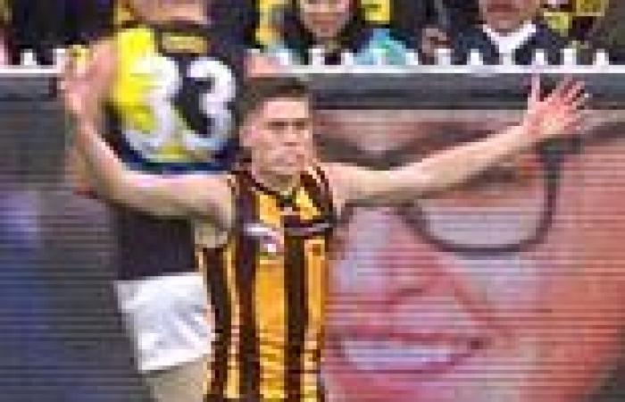 sport news Where was the penalty, umpire? Officials get dissent rule wrong AGAIN in Hawks ... trends now