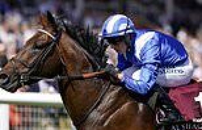 sport news William Haggas remains coy over horse some are dubbing best since Frankel trends now