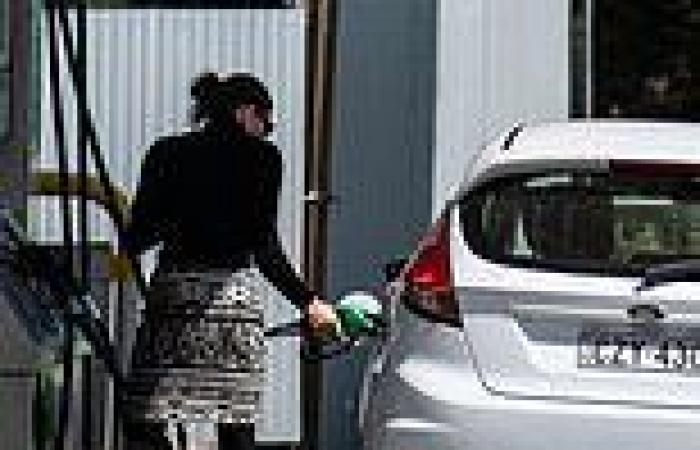 Monday 16 May 2022 06:43 AM Sydney petrol prices: Why fuel prices are surging again trends now