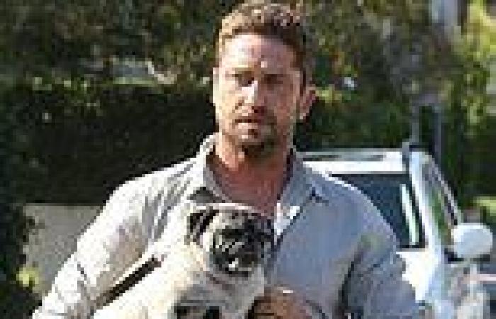 Wednesday 18 May 2022 10:10 AM Buying a pug is CRUEL: Vets warn against celebrity-driven obsession with 'cute' ... trends now