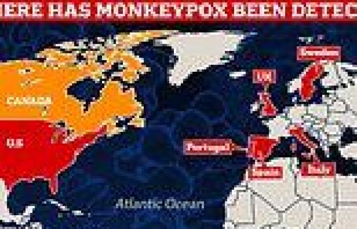 Thursday 19 May 2022 05:04 PM Monkeypox is now spotted in Italy and Sweden - bringing number of countries ... trends now