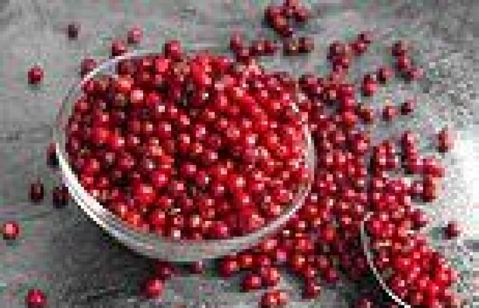 Thursday 19 May 2022 09:52 AM Cranberries could improve memory and ward off dementia trends now