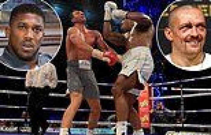 sport news Anthony Joshua says Wladimir Klitschko was his biggest test... and aims to ... trends now
