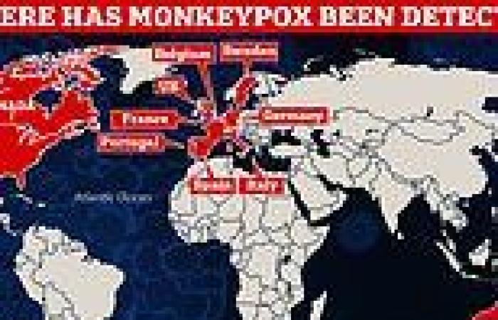 Friday 20 May 2022 04:46 PM Monkeypox patients could be infectious for up to FOUR WEEKS after symptoms ... trends now