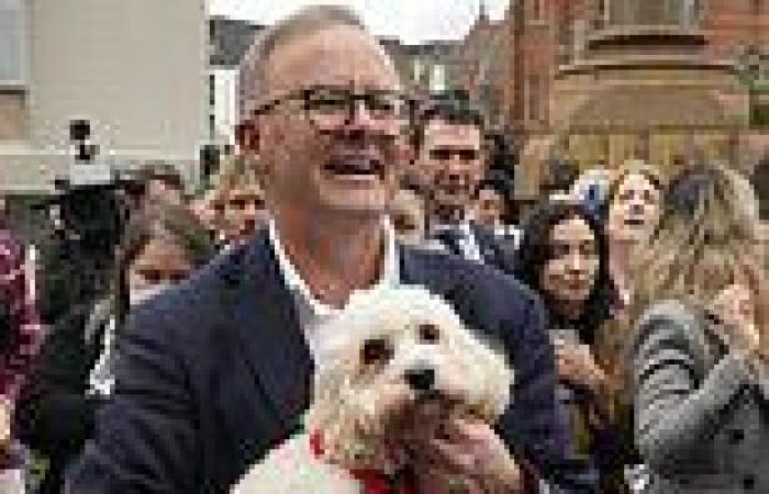 Saturday 21 May 2022 02:31 PM Australia election 2022: Scott Morrison concedes defeat trends now