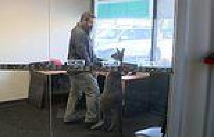 Saturday 21 May 2022 08:22 AM Kangaroo found inside an office of a warehouse in South Australia trends now