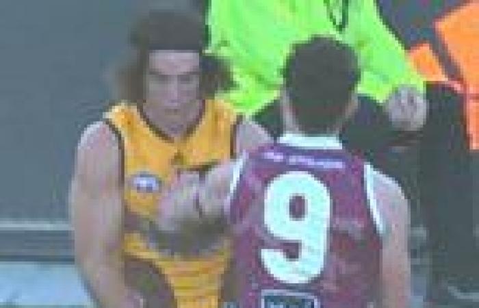 sport news Brisbane Lion Lachie Neale hit with year's most ridiculous free kick against ... trends now