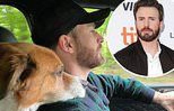Sunday 22 May 2022 04:28 AM Chris Evans posts picture with dog, who he adopted while filming Gifted, ... trends now