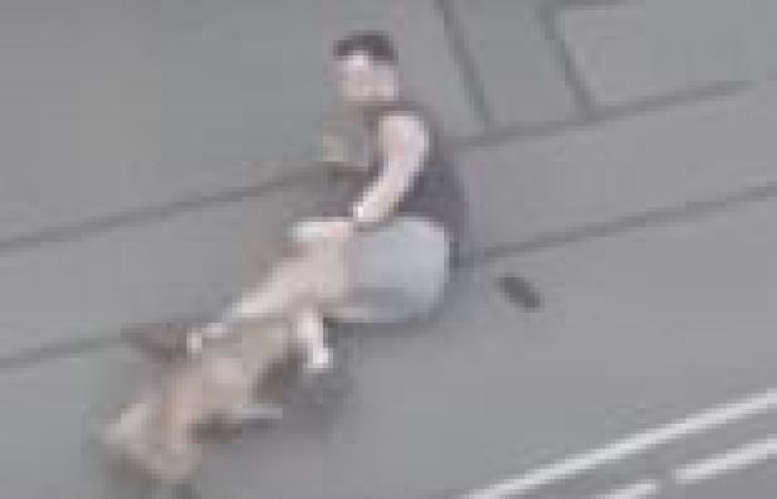 Wednesday 25 May 2022 08:58 AM Moment bystander was attacked by crazed dog at London train station as woman, ... trends now