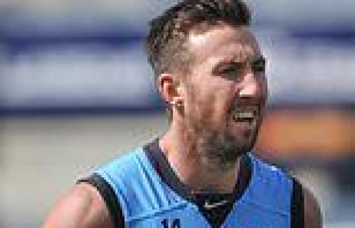 sport news Ex-Demons star Brock McLean reveals he used cocaine and ecstasy to fill void ... trends now