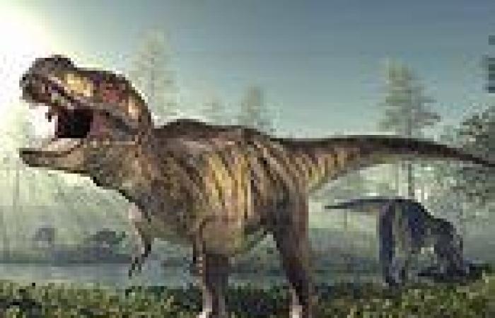 Wednesday 25 May 2022 04:10 PM T. rex was WARM-blooded, study finds trends now