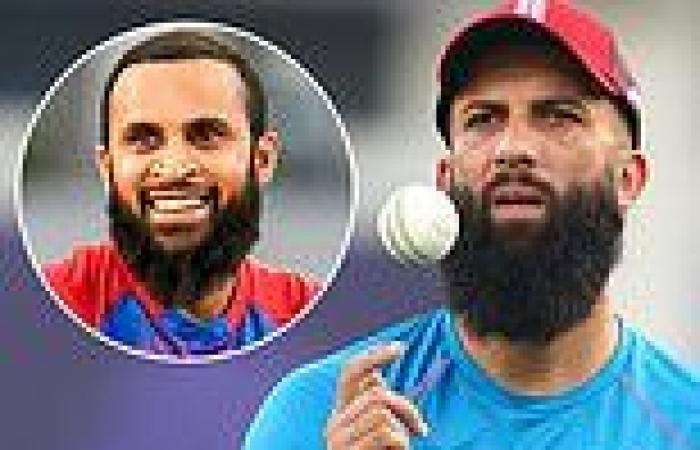 sport news Moeen Ali tells new England head coach Brendon McCullum he is willing to come ... trends now