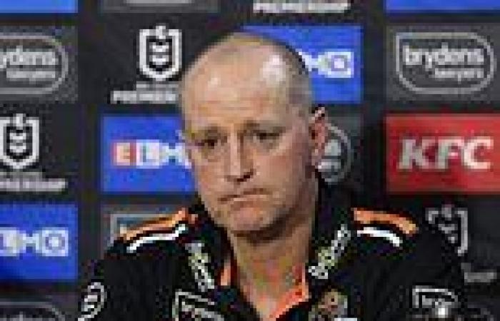 sport news Michael Maguire's head is back on the chopping block as Tigers announce ... trends now
