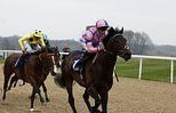 sport news Robin Goodfellow's racing tips: Best bets for Monday, May 30  trends now