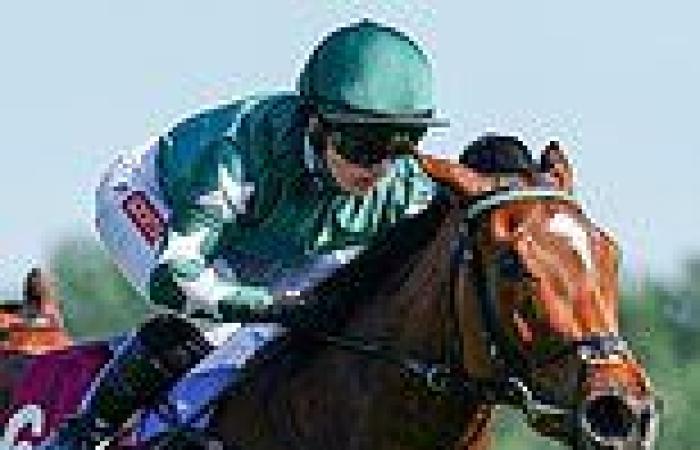 sport news Nashwa ready to fulfil Hoyle Doyle's classic dream in the Oaks at Epsom trends now