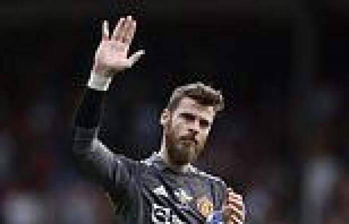 sport news David de Gea is the leading contender to replace Harry Maguire as Man United ... trends now