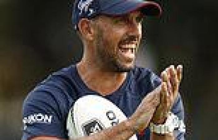 sport news Swans premiership winner Nick Davis names the NRL players who could make in the ... trends now