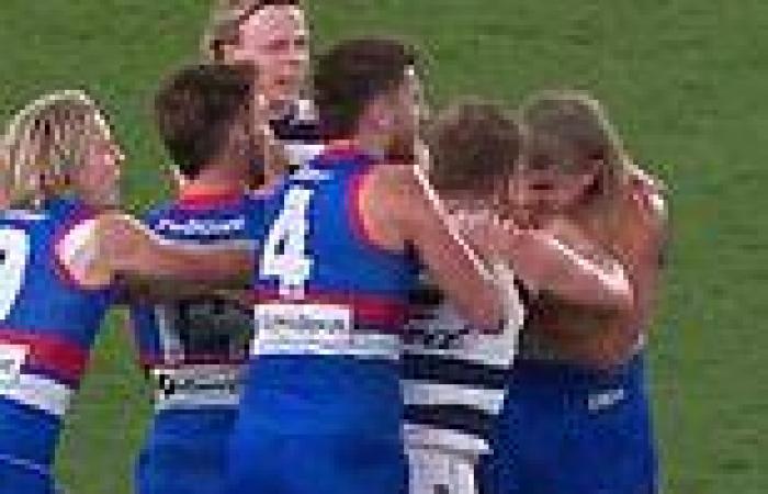 sport news Bulldogs star Bailey Smith is hit with a two-week suspension for headbutting ... trends now