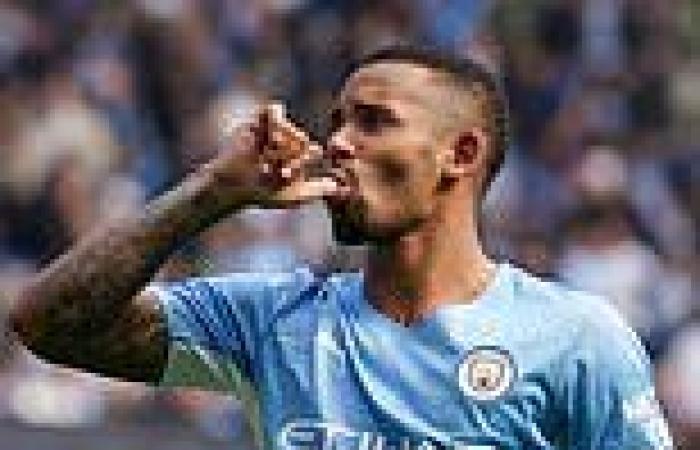 sport news Chelsea 'have a strong interest in Man City forward Gabriel Jesus and will ... trends now